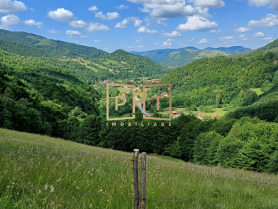 Oportunitate investitie, teren intravilan vanzare, 39171 mp, parcelabil, Poieni
