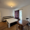 Apartament 2 camere decomandate, etaj intermediar, terasa, parcare, Porii thumb 6