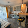 Apartament de inchiriat, 2 camere, 44 mp, zona Cetatii! imaginea mica 2 Apartament de inchiriat, 2 camere, 44 mp, zona Cetatii! thumb 2