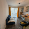 Apartament de inchiriat, 2 camere, 44 mp, zona Cetatii! imaginea mica 3 Apartament de inchiriat, 2 camere, 44 mp, zona Cetatii! thumb 3