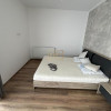 Apartament de inchiriat, 2 camere, 44 mp, zona Cetatii! imaginea mica 5 Apartament de inchiriat, 2 camere, 44 mp, zona Cetatii! thumb 5